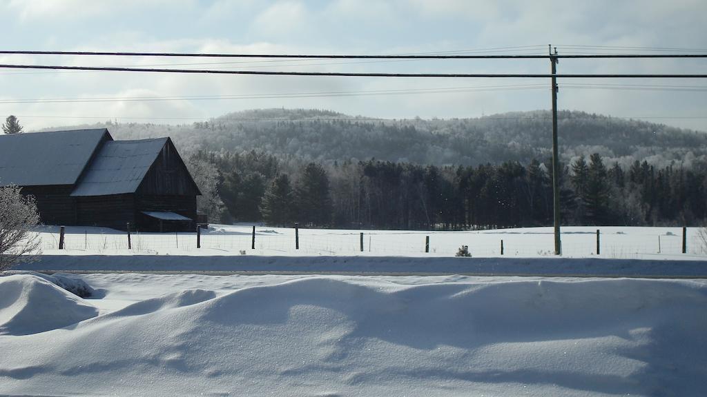 Mountain View Motel Barrys Bay Exteriör bild